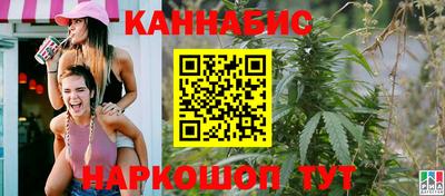 spice Славгород