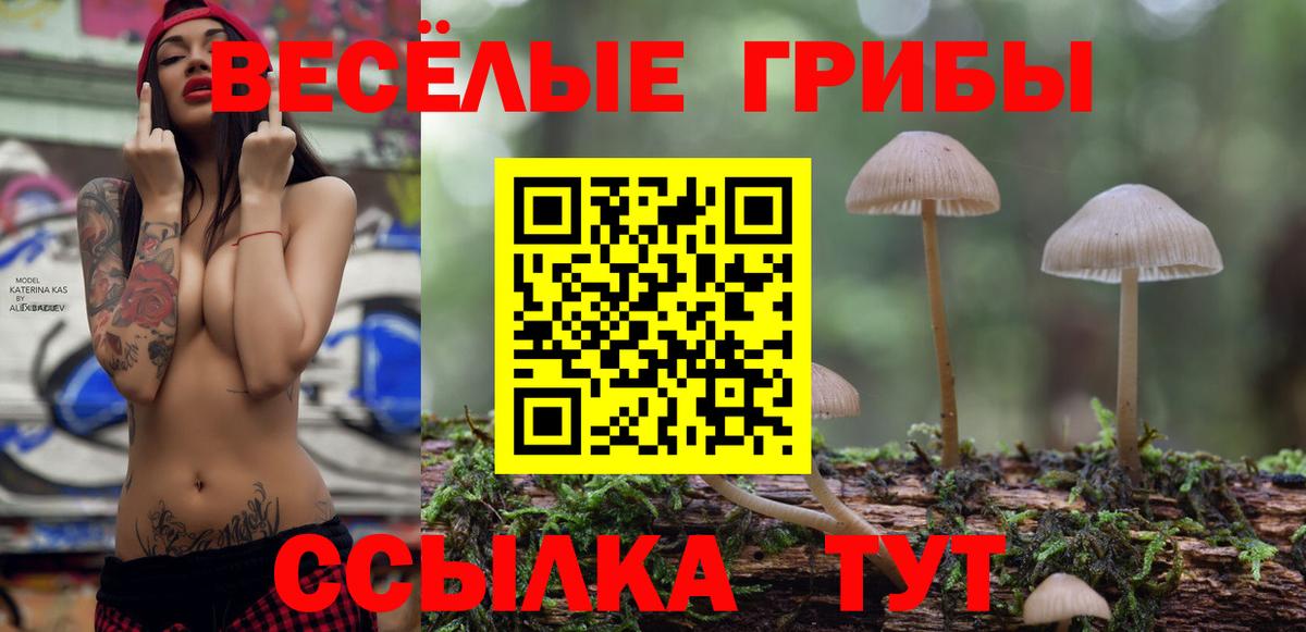 Галлюциногенные грибы мицелий Павлово