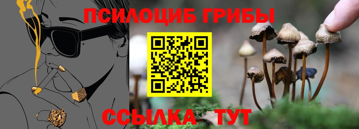 Павлово  Псилоцибиновые грибы мухоморы  Галлюциногенные грибы мицелий  Вход с VPN 